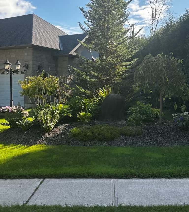 Minor Tree Removal Lawn Care Service